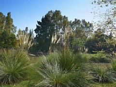 183 D35 PARC OLBIUS RIQUIER A HYERES_000024